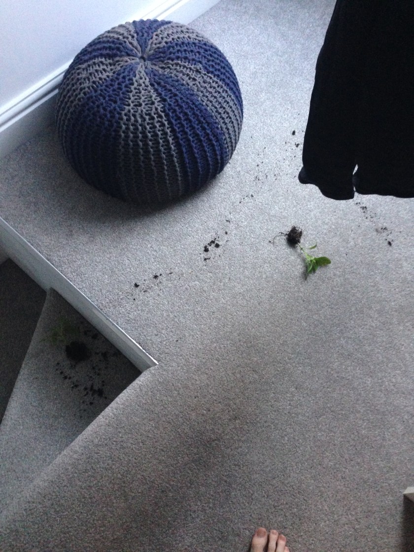 Photo 09-05-2014 06 09 45